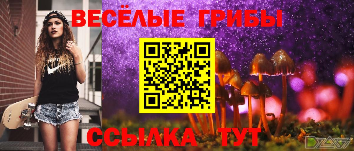 Псилоцибиновые грибы ЛСД Луховицы