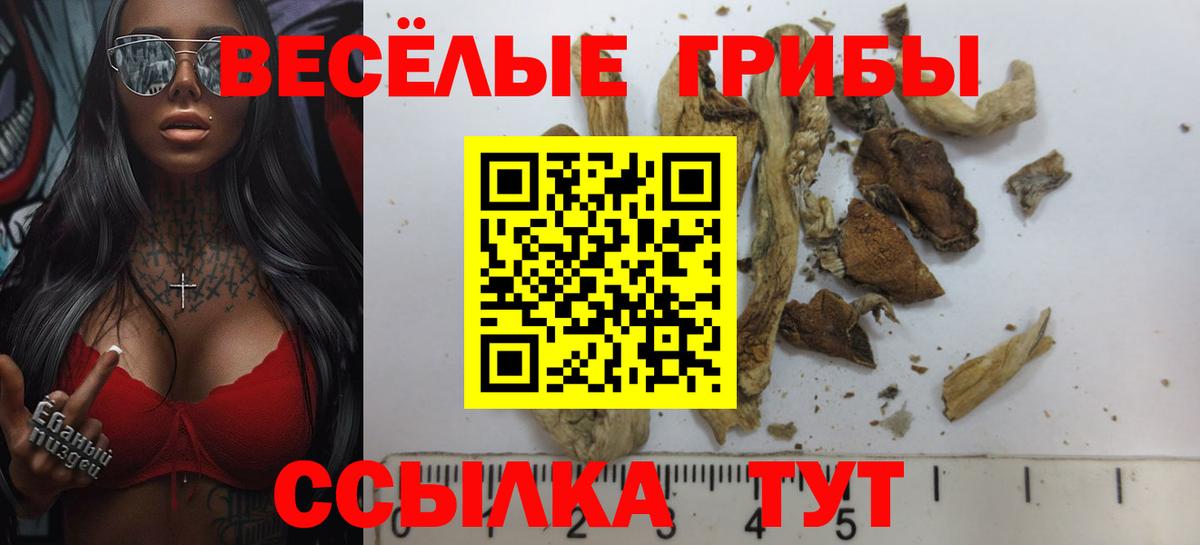 Луховицы  сколько стоит  Вход с VPN  Псилоцибиновые грибы мицелий 